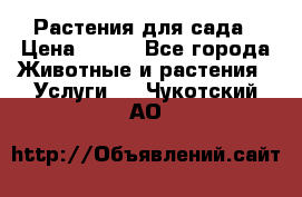 Растения для сада › Цена ­ 200 - Все города Животные и растения » Услуги   . Чукотский АО